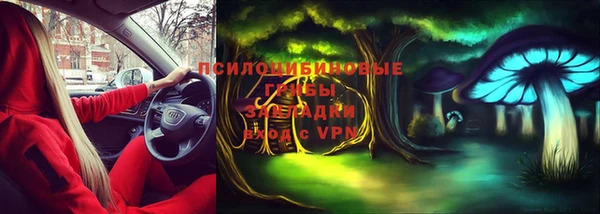 СК Козельск