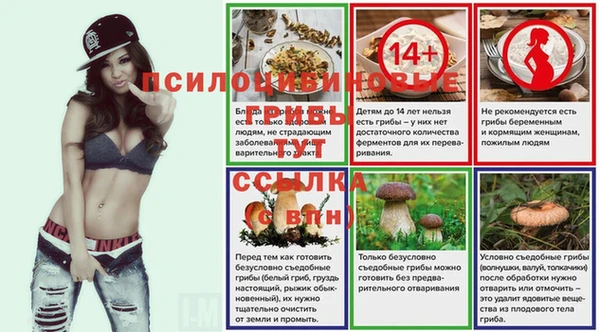 СК Козельск