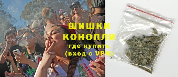 СК Козельск