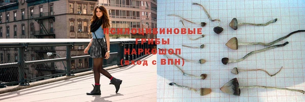прущие крисы Кодинск