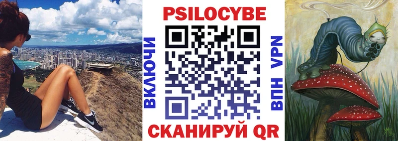 Псилоцибиновые грибы Cubensis  Купить  Сургут 