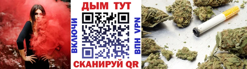 Купить закладки  Сургут  МАРИХУАНА сатива 